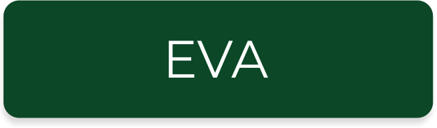 Система EVA Система EVA